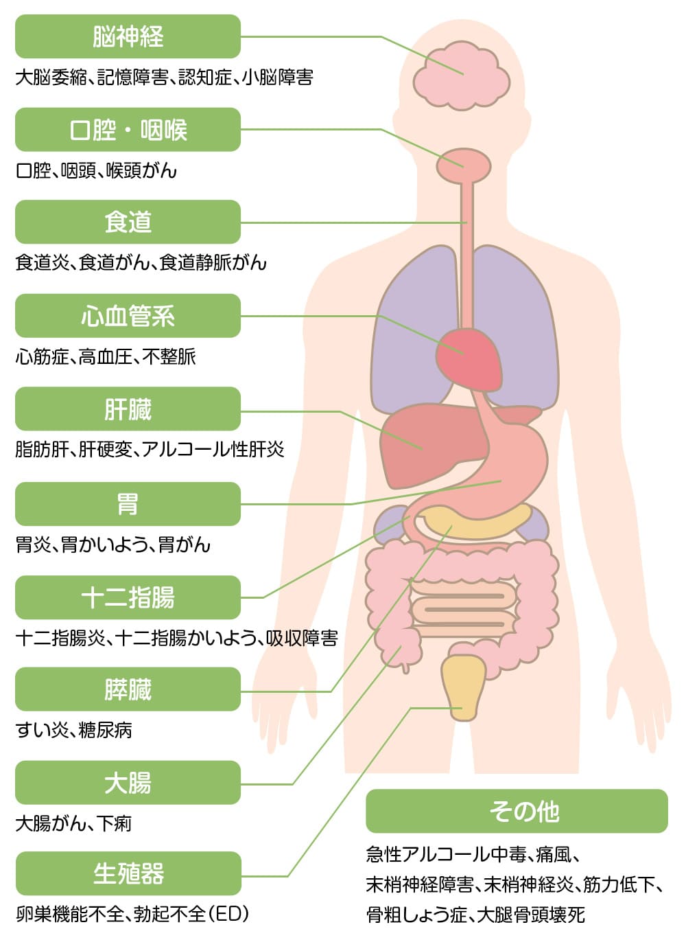 生活習慣病と飲酒のリスク